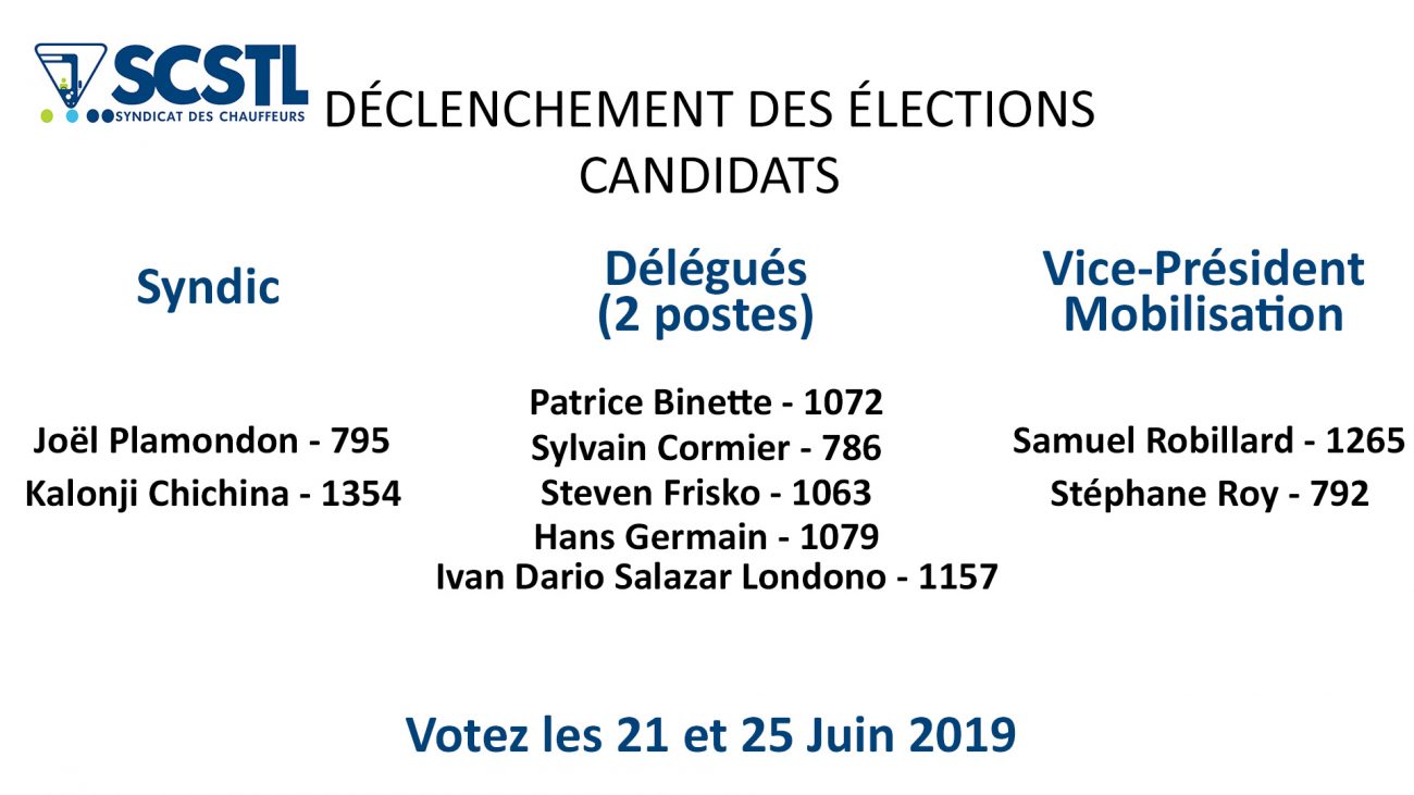 Élections complémentaires 2019 : Candidats