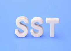 Cloisons du poste chauffeur